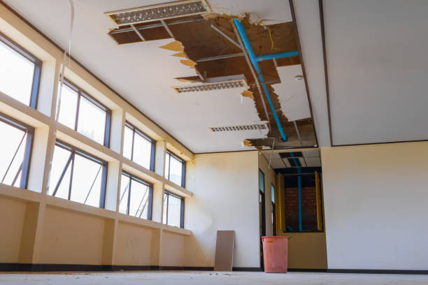 Best Water damage restoration near me  in Rancho Tehama Reserve, CA