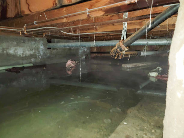 Best Water damage cleanup near me  in Rancho Tehama Reserve, CA