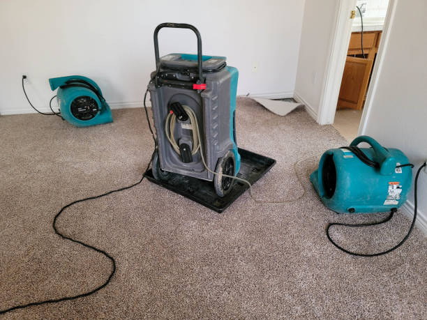 Best Sewage cleanup and water damage restoration  in Rancho Tehama Reserve, CA