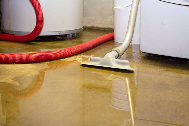 Best Local water damage restoration  in Rancho Tehama Reserve, CA