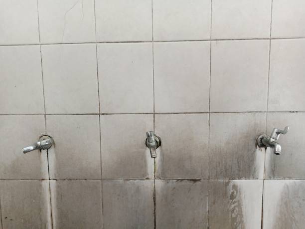 Best Water damage cleanup near me  in Rancho Tehama Reserve, CA