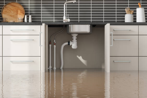 Best Flood restoration services  in Rancho Tehama Reserve, CA