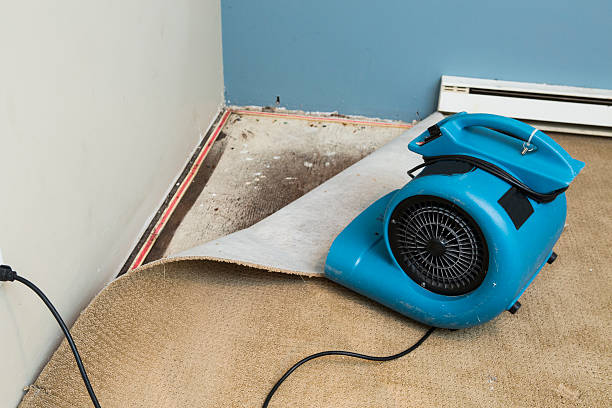  Rancho Tehama Reserve, CA Water damage restoration Pros